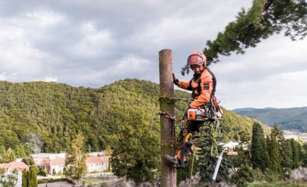 Hochkletterer auf Strommast beim Baumklettern, Sicherheitsausrüstung, Naturblick, Stuttgart.