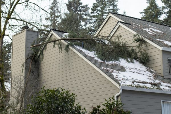 Baum liegt nach Sturm auf Dach und droht Schäden, professionelle Baumkletterarbeiten in Stuttgart.